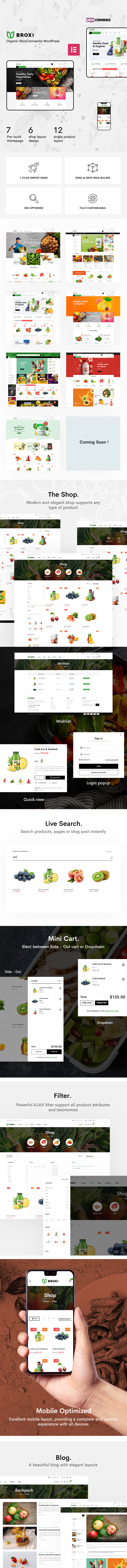 Broxi β Organic & Food WooCommerce WordPress Theme - 1