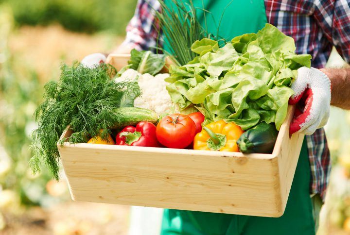 Care for organic vegetables