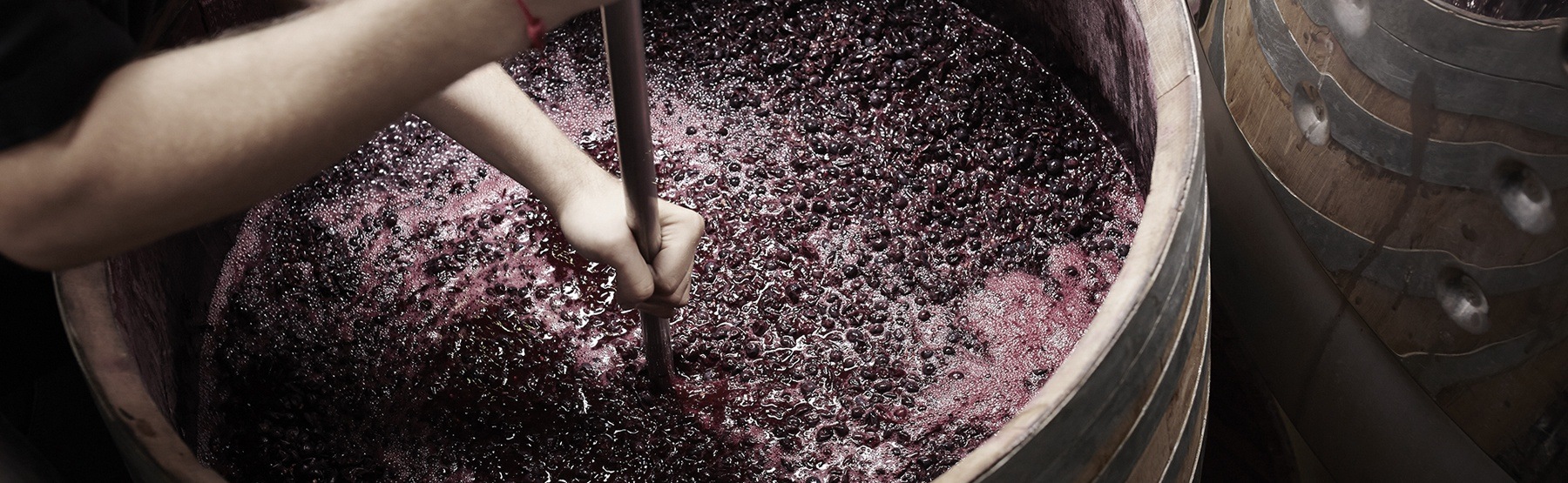 Ферментация вина. Брожение вина. Виноматериал. Виноматериал сухой. Производство вина.