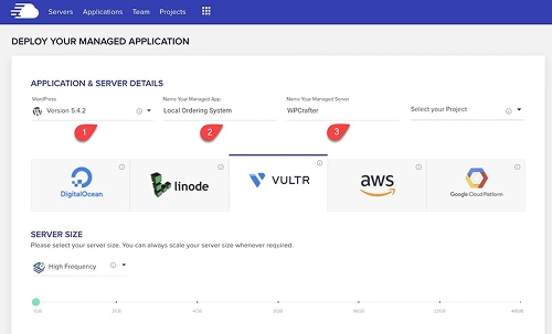 Cloudways WordPress hosting options preview
